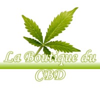 LA BOUTIQUE DU CBD EYRES-MONCUBE 